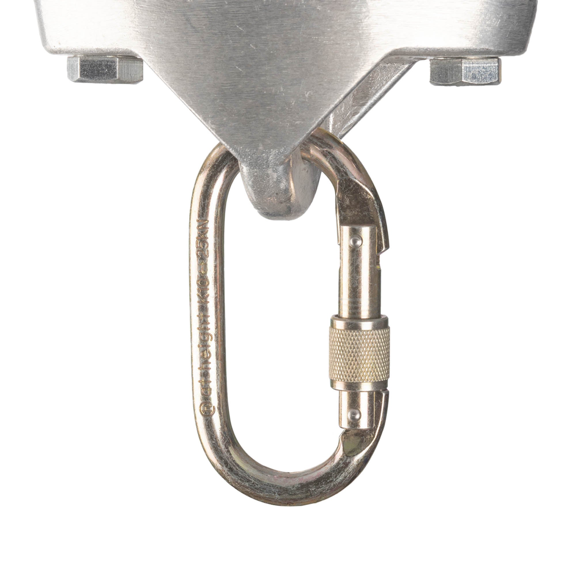 P2 - Double anchor plate rigged with carabiner attached