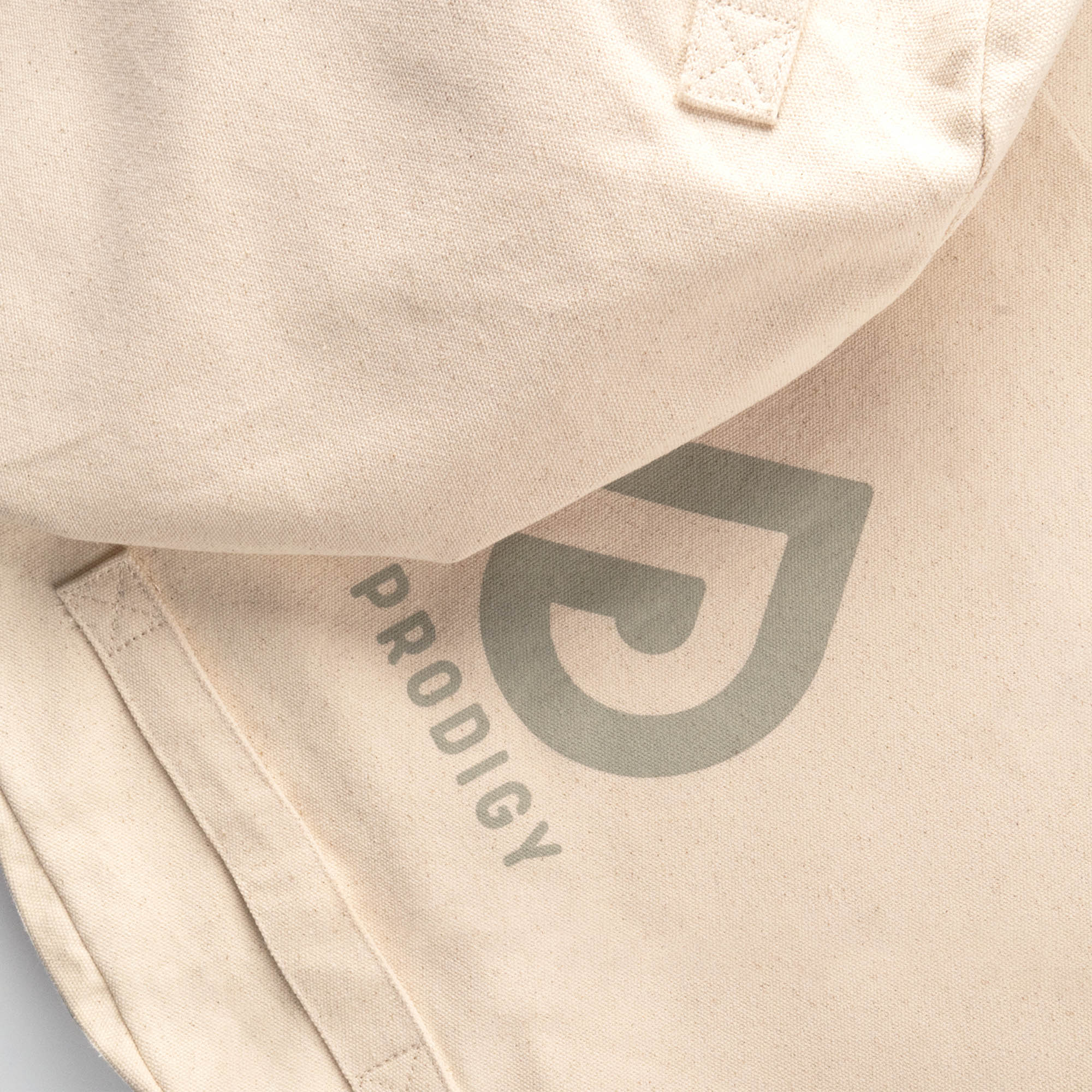 Prodigy eco aerial bag logo