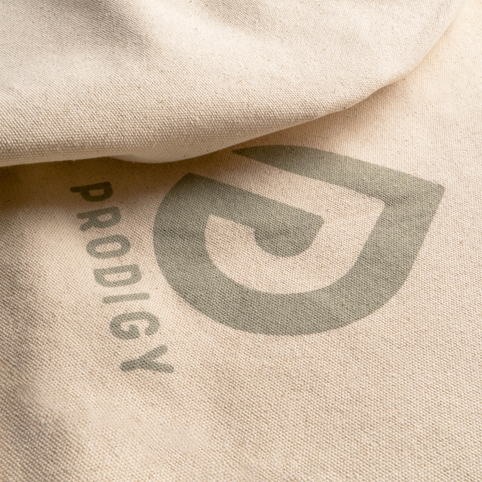 Prodigy eco aerial bag logo