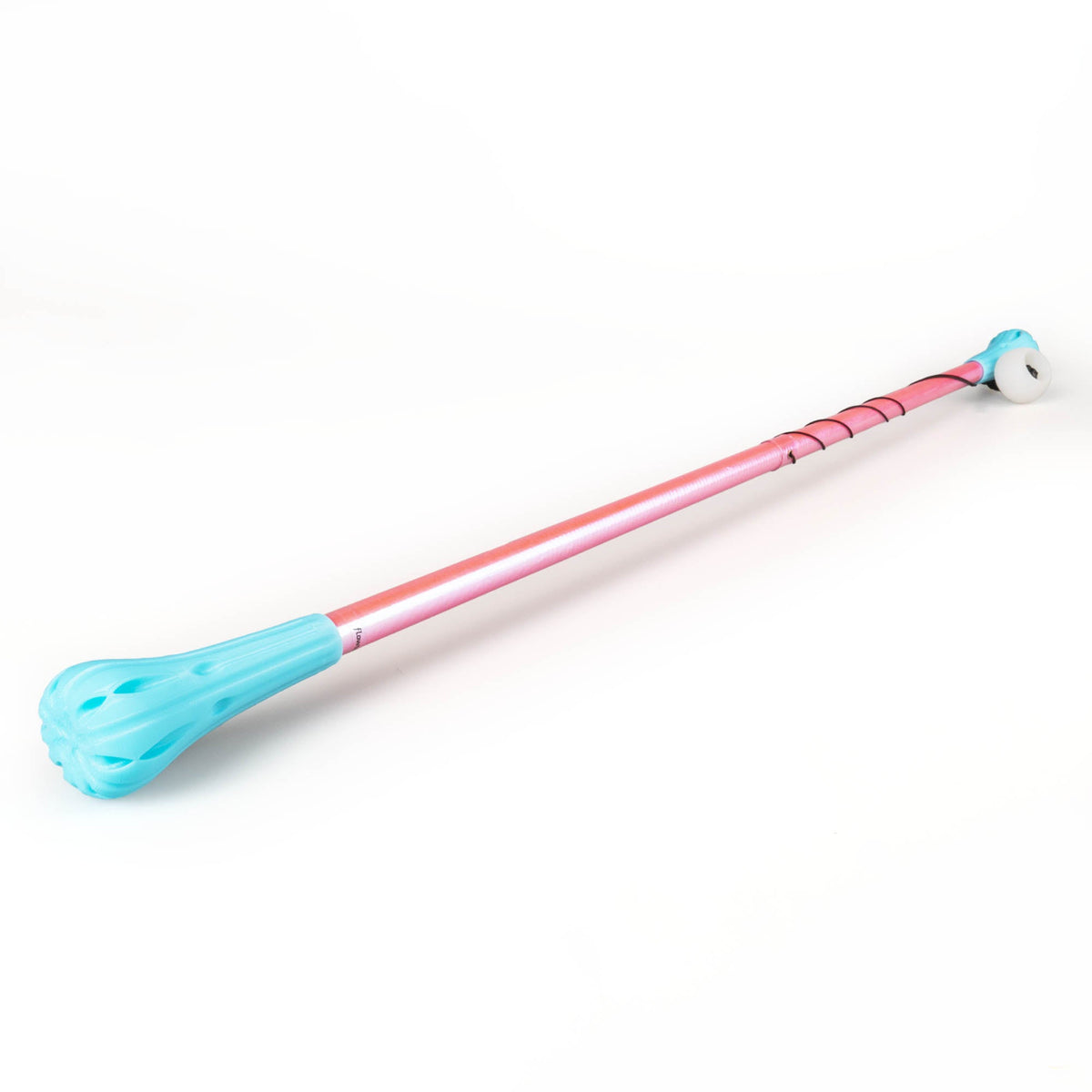 Pink and blue allium wand on white background