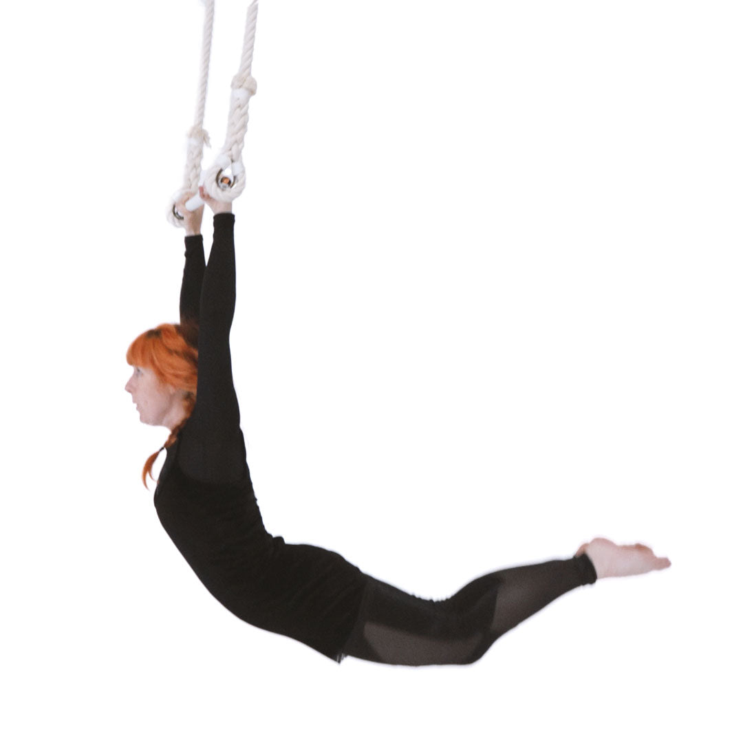 performer on classic trapeze